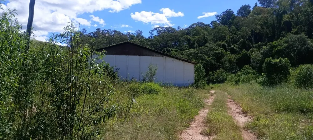 Fazenda, 169 hectares - Foto 17