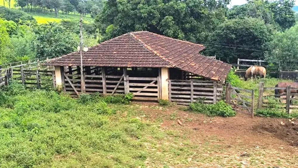 Fazenda, 116 hectares - Foto 7