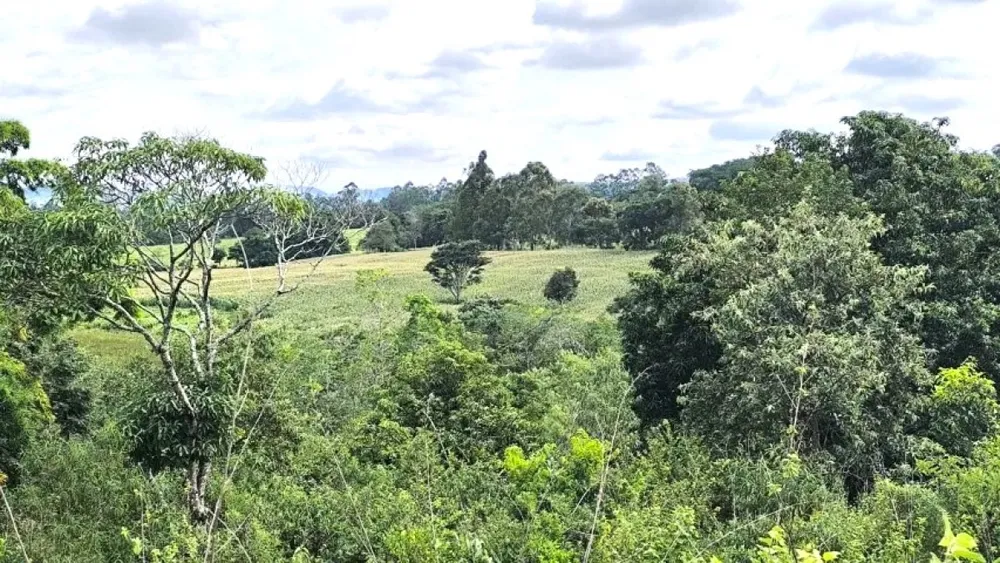 Fazenda, 116 hectares - Foto 10