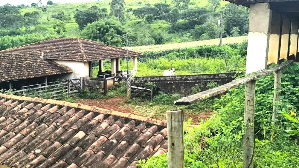 Fazenda, 116 hectares - Foto 8
