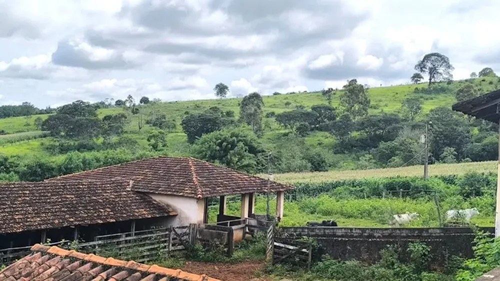 Fazenda, 116 hectares - Foto 12
