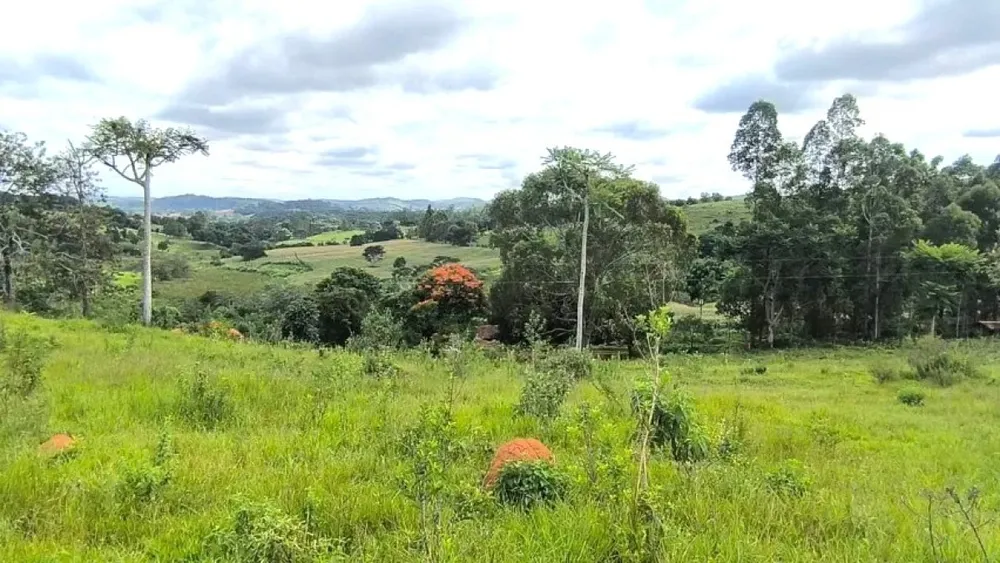 Fazenda, 116 hectares - Foto 3