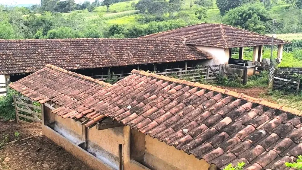 Fazenda, 116 hectares - Foto 11