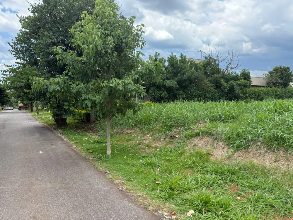 Terreno, 1000 m² - Foto 1