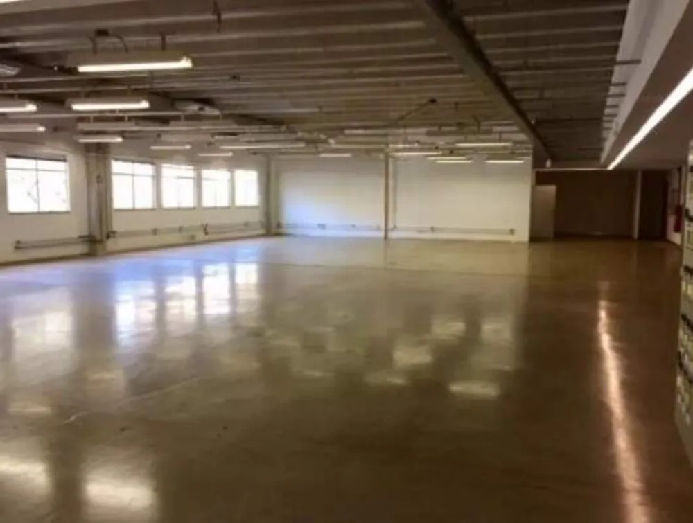 Sala-Conjunto - Foto 10