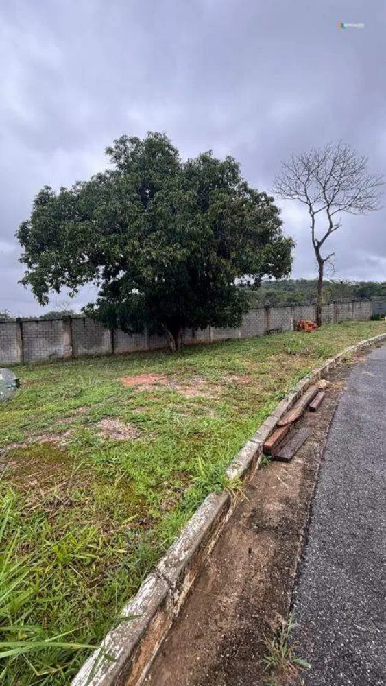 Terreno, 646 m² - Foto 4