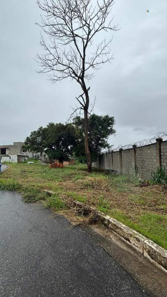 Terreno, 646 m² - Foto 6