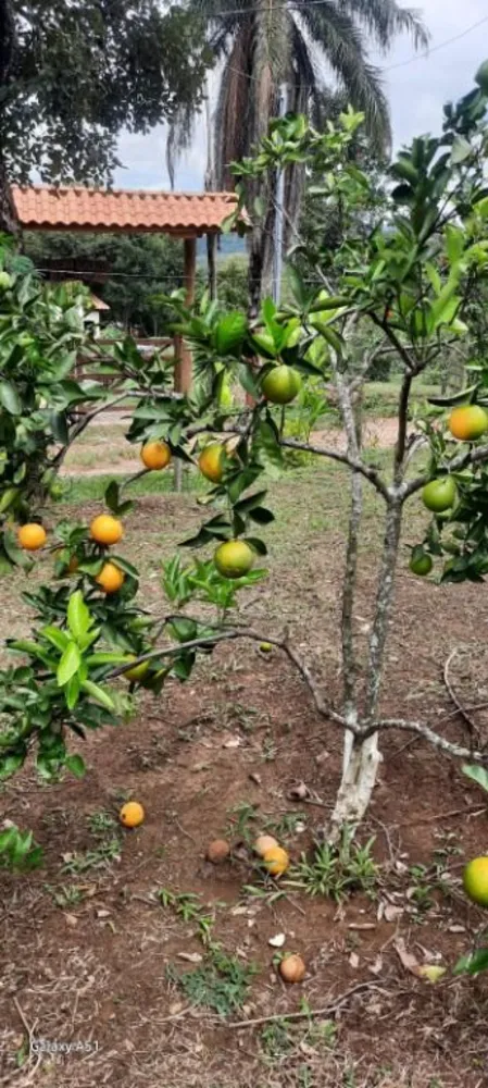 Chácara, 3 quartos - Foto 8