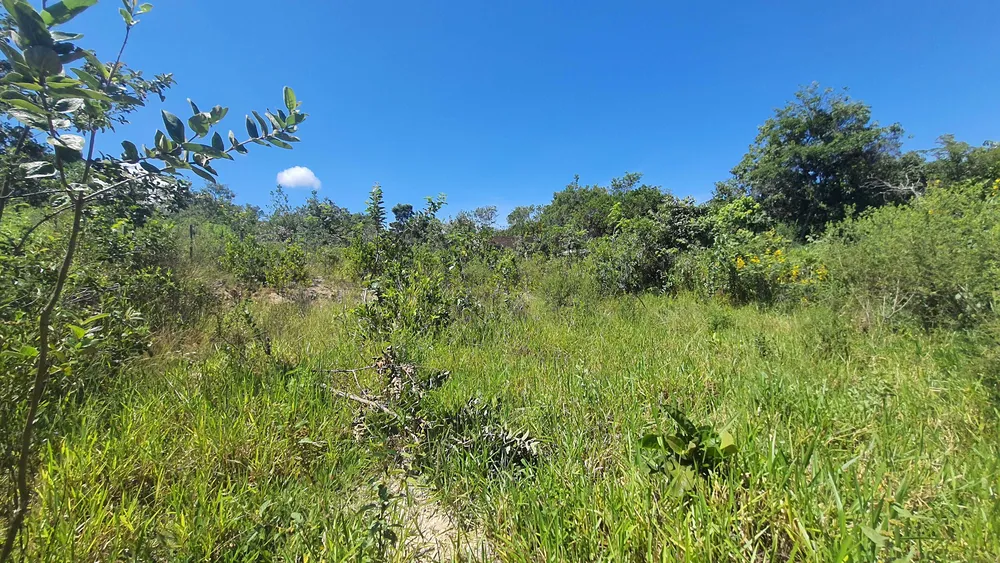 Terreno, 832 m² - Foto 6
