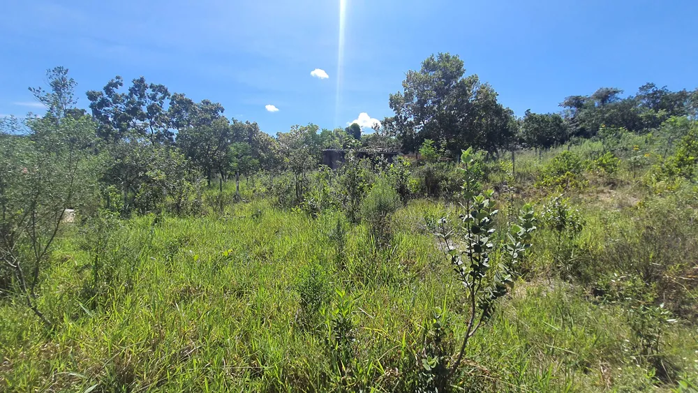 Terreno, 832 m² - Foto 9