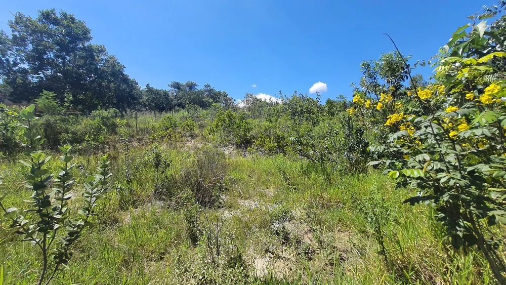 Terreno, 832 m² - Foto 8