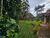 Terreno, 22980 m² - Foto 7