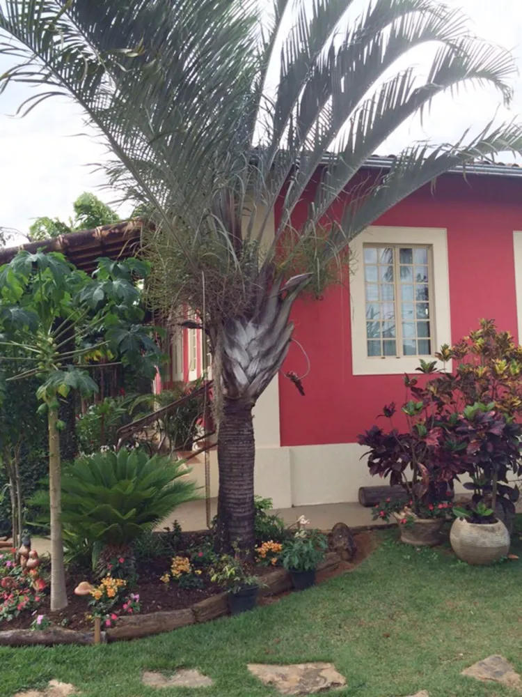 Chácara, 3 quartos, 1464 m² - Foto 2