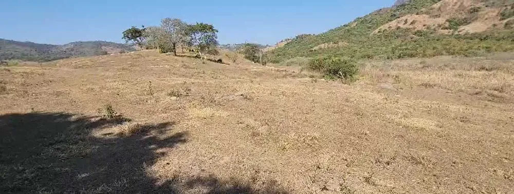Fazenda, 950 hectares - Foto 4