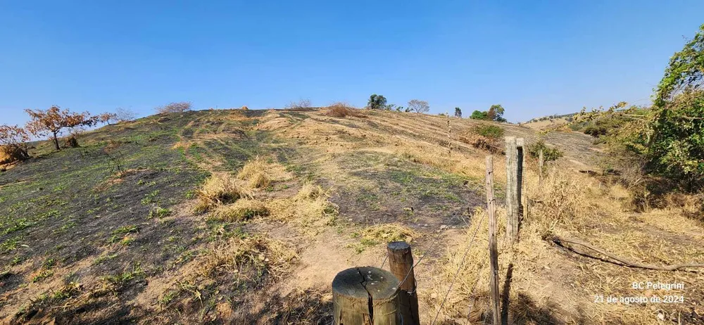 Fazenda, 950 hectares - Foto 2