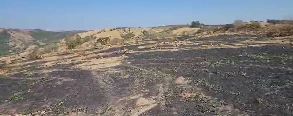 Fazenda, 950 hectares - Foto 7