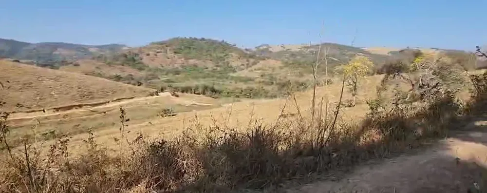 Fazenda, 950 hectares - Foto 8