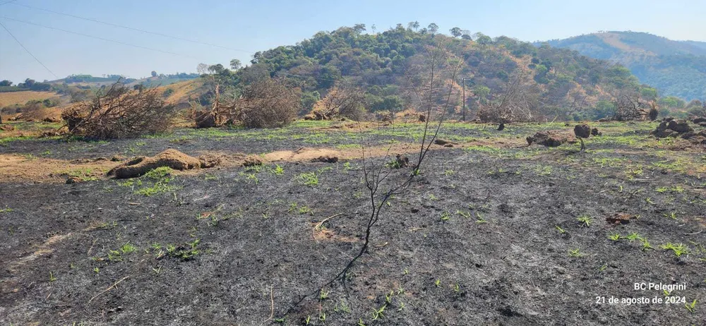 Fazenda, 950 hectares - Foto 1