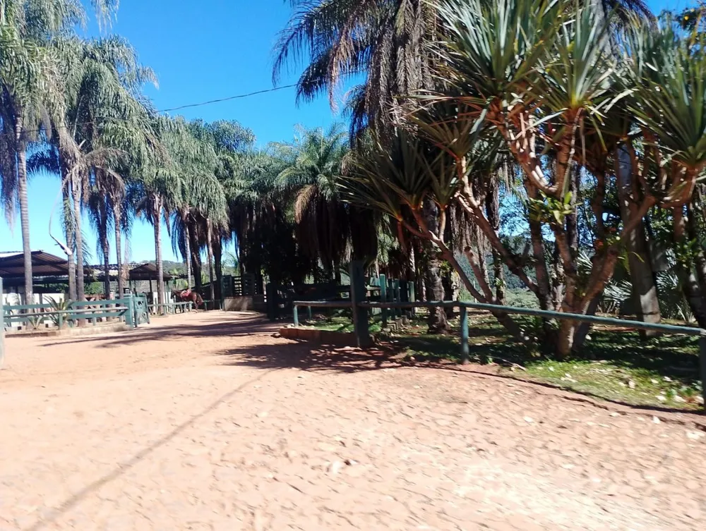 Terreno, 3000 m² - Foto 7