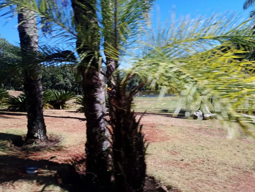 Terreno, 3000 m² - Foto 11