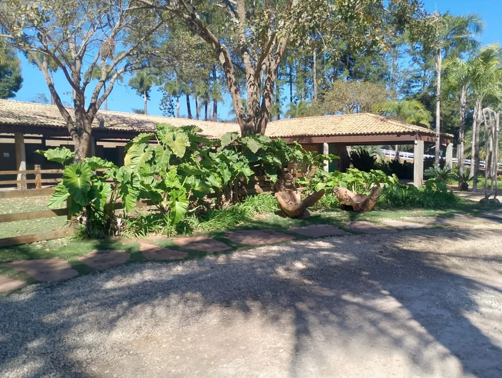 Terreno, 3000 m² - Foto 5