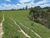 Fazenda, 80 hectares - Foto 4