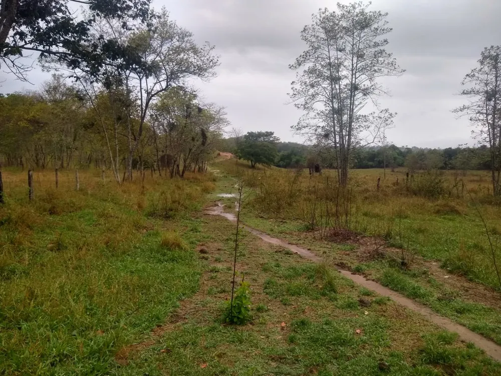 Fazenda, 390 hectares - Foto 8