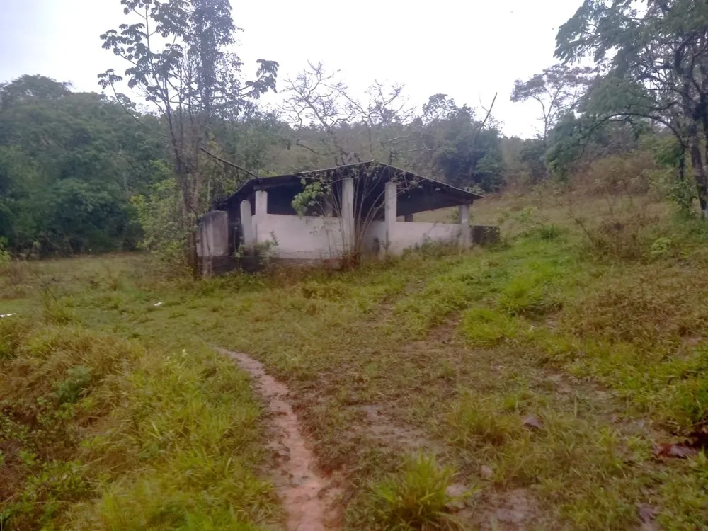 Fazenda, 390 hectares - Foto 6