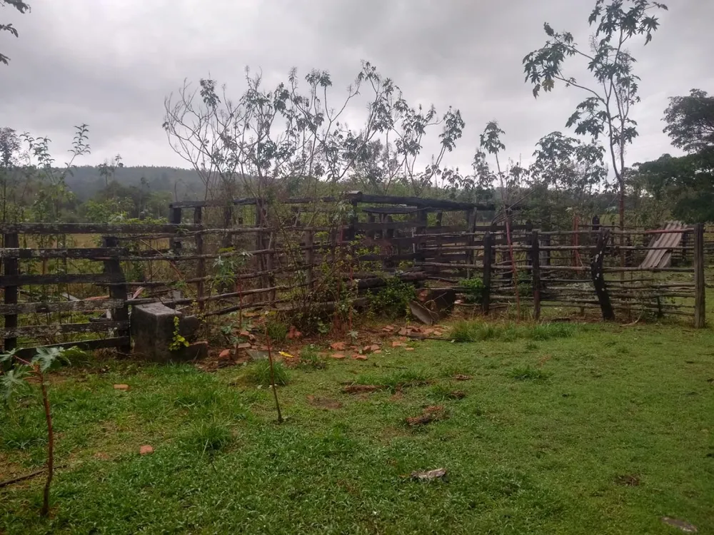 Fazenda, 390 hectares - Foto 2