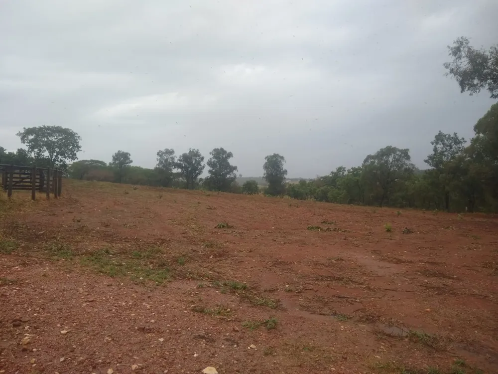 Fazenda, 390 hectares - Foto 3