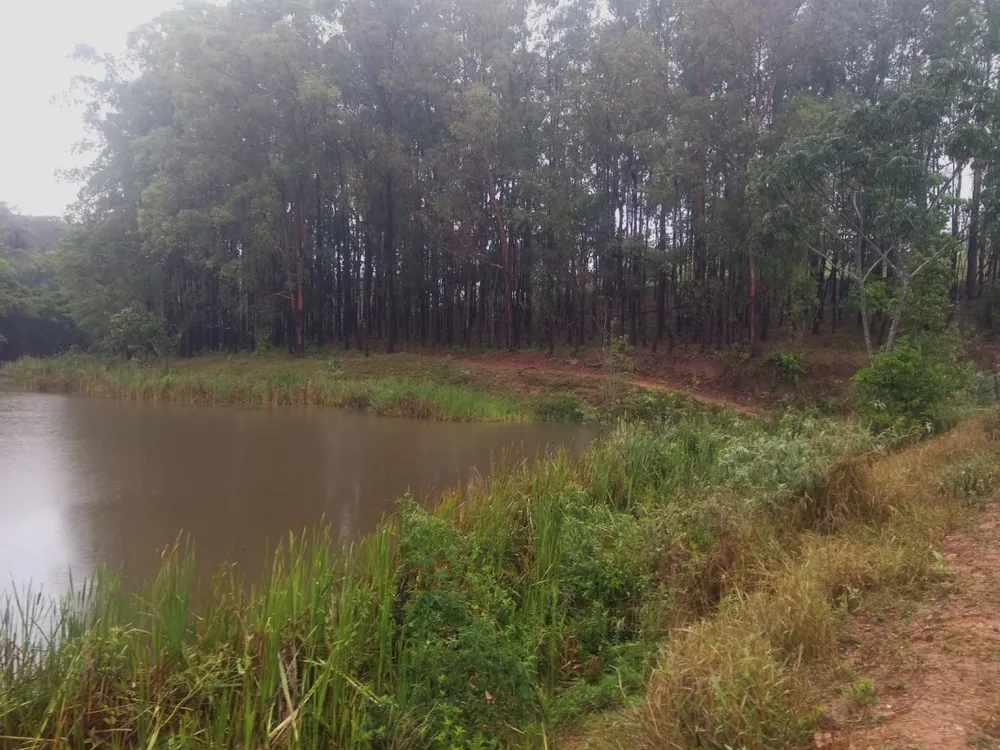 Fazenda, 390 hectares - Foto 4