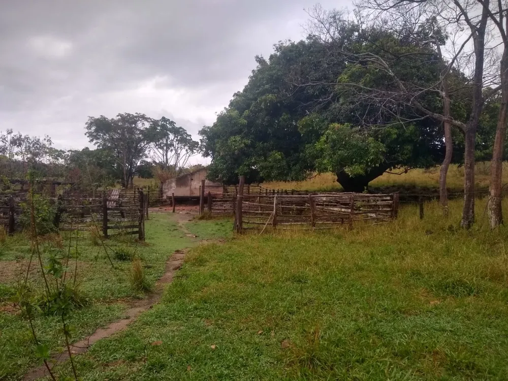 Fazenda, 390 hectares - Foto 1