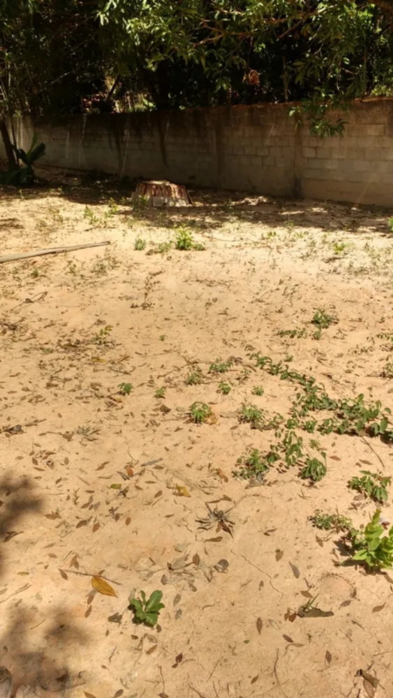 Chácara, 3 quartos, 4000 m² - Foto 4