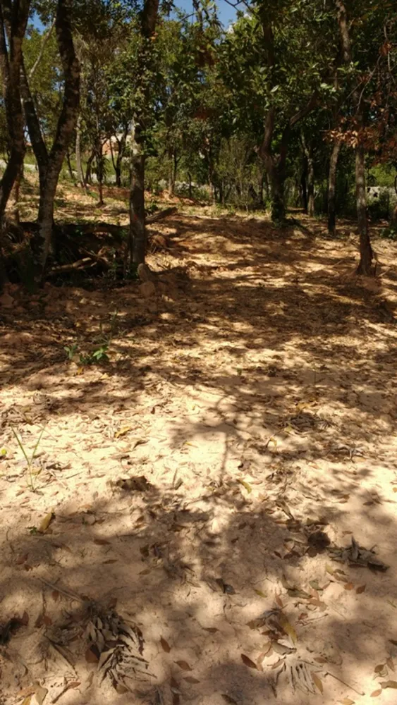 Chácara, 3 quartos, 4000 m² - Foto 5