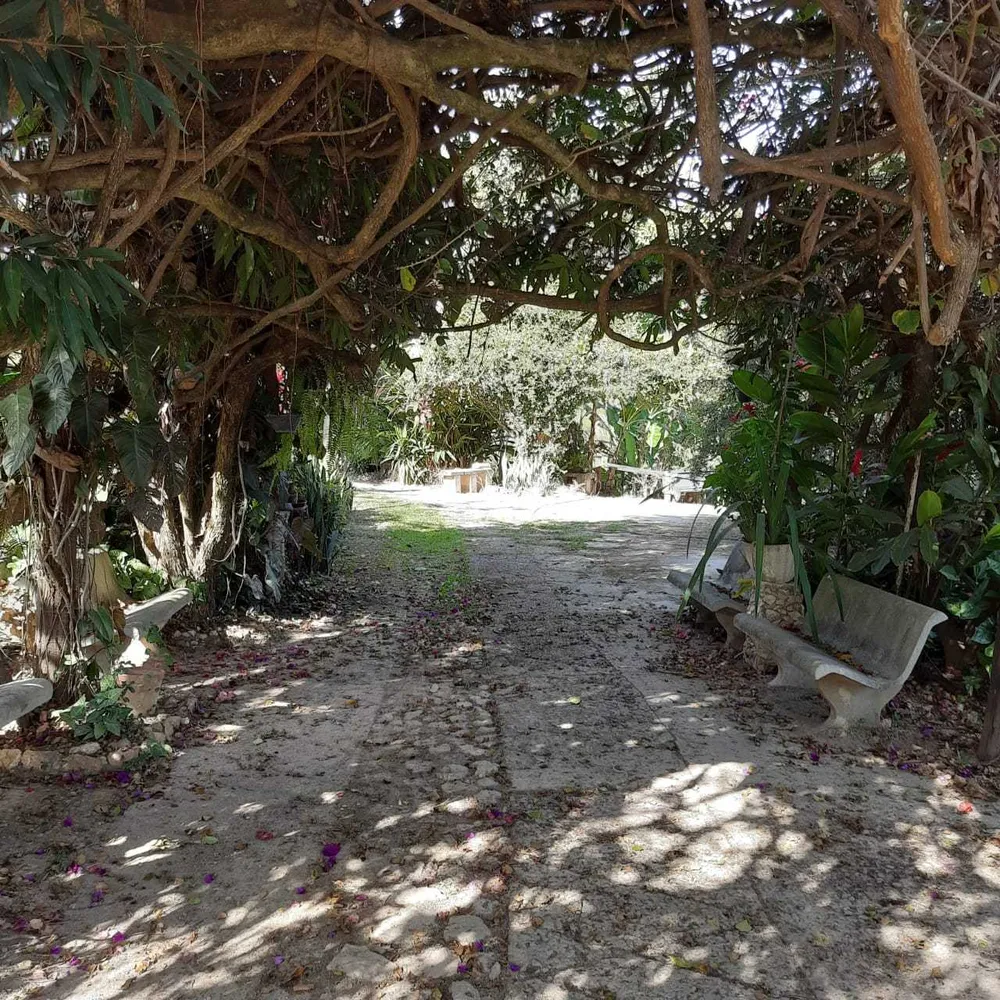 Chácara, 8 quartos, 2 hectares - Foto 7