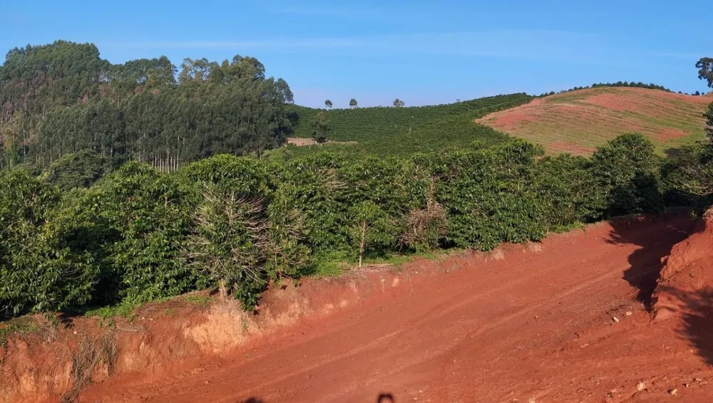 Fazenda, 60 hectares - Foto 10