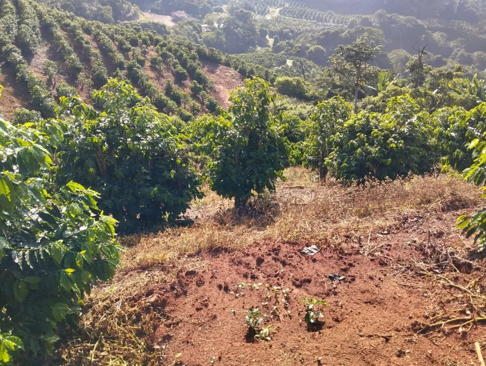 Fazenda, 60 hectares - Foto 9