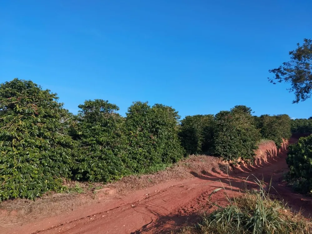 Fazenda, 60 hectares - Foto 1