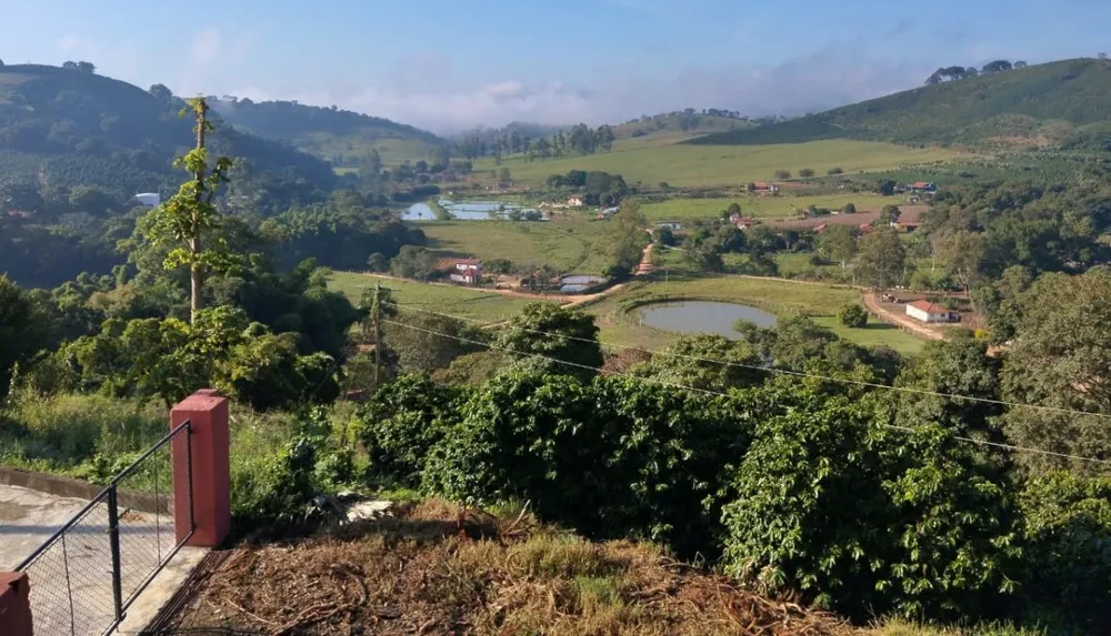 Fazenda, 60 hectares - Foto 2