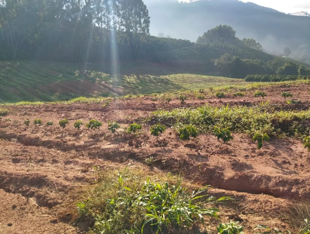 Fazenda, 60 hectares - Foto 8