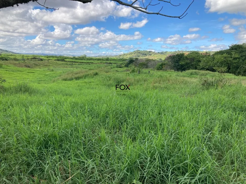 Terreno, 6 hectares - Foto 3