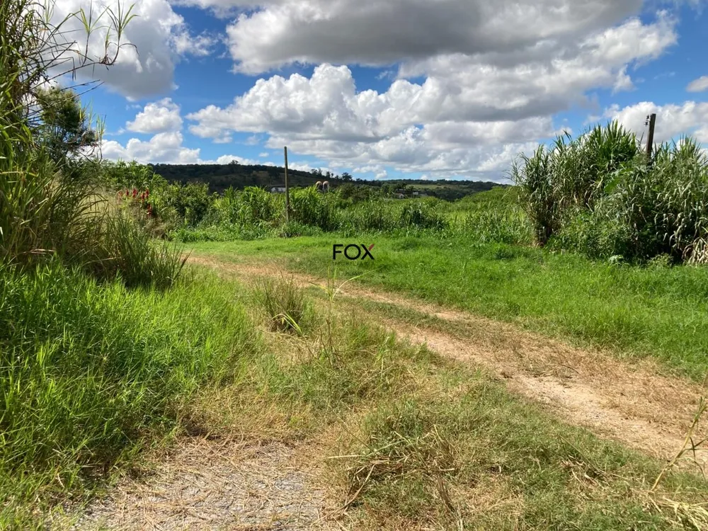 Terreno, 6 hectares - Foto 11
