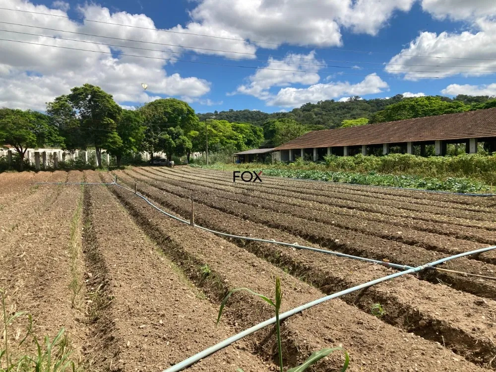 Terreno, 6 hectares - Foto 1