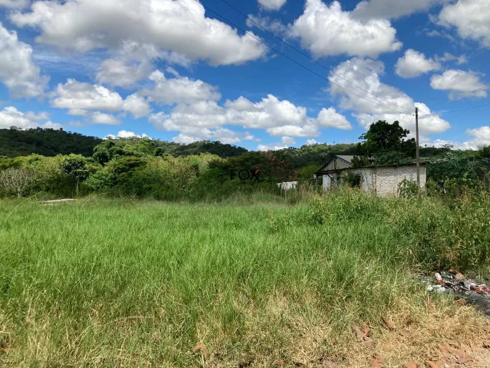 Terreno, 6 hectares - Foto 4