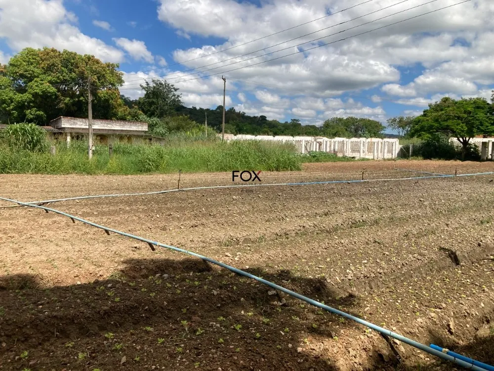 Terreno, 6 hectares - Foto 4