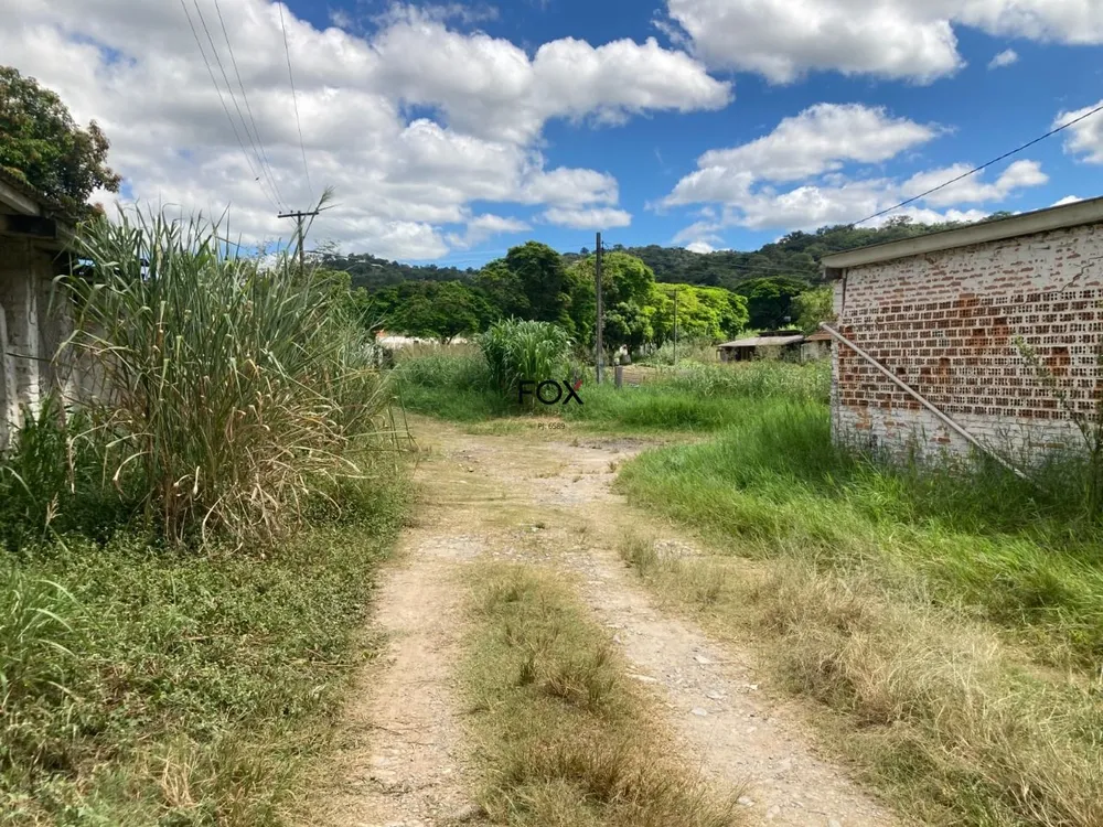 Terreno, 6 hectares - Foto 3