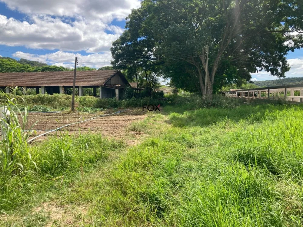 Terreno, 6 hectares - Foto 9