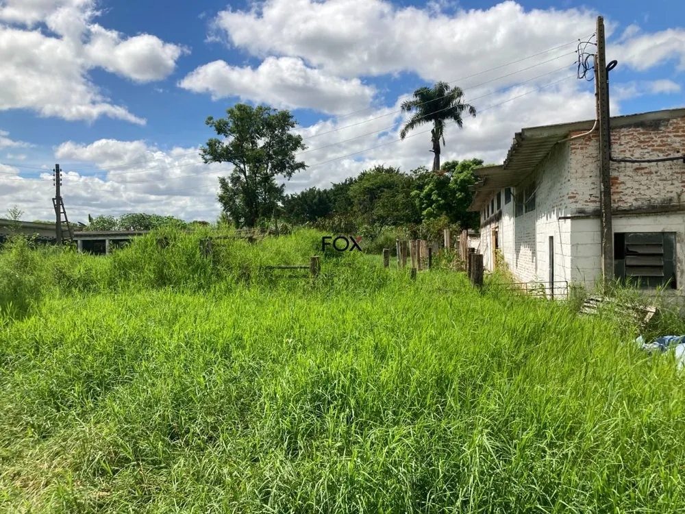 Terreno, 6 hectares - Foto 8