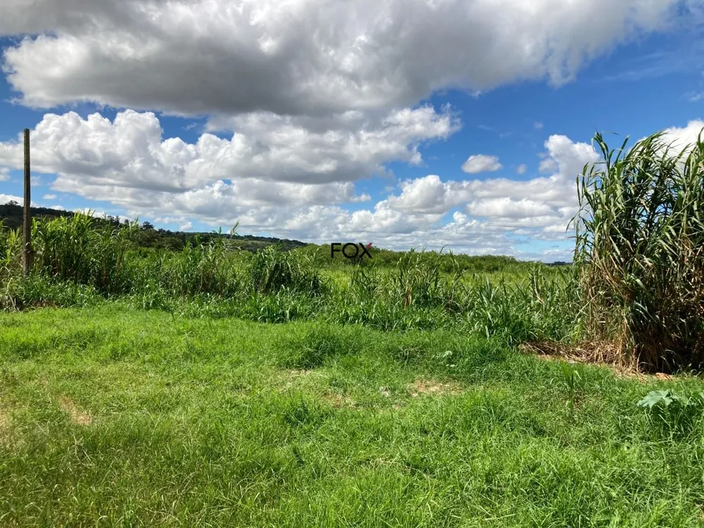 Terreno, 6 hectares - Foto 1