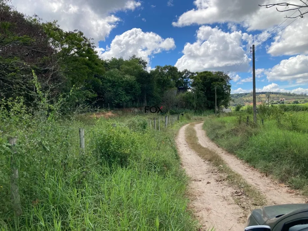 Terreno, 6 hectares - Foto 6